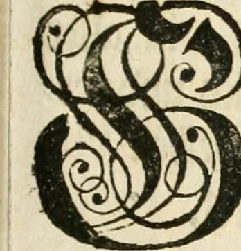 An illustration from Vollständiges Diarium von den merckwürdigsten Begebenheiten die sich vor, in und nach der höchst-beglückten Wahl und Crönung des allerdurchlauchtigsten, grossmächtigsten und unüberwindlichsten Fürsten und Herrn, Herrn Carls des VII., erwehlten Römischen Kaysers ... im gantzen Heil. Röm. Reich, und sonderlich in dieser freyen Reichs- und Wahl-Stadt Franckfurt am Mayn zugetragen : nebst umständlicher Beschreibung der Ein- und Aufzüge, Freuden-Feste, und übrigen feyerlichen Handlungen, sammt vielen Urkunden, Portraits, und andern Kupferstichen : auch einem Anhang von Beylagen, und ausführlichem Register .., 1742, leaf 1096