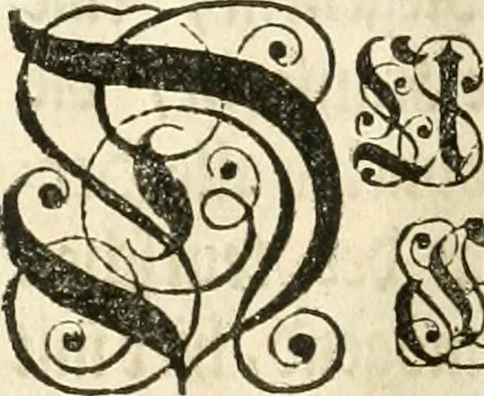 An illustration from Vollständiges Diarium von den merckwürdigsten Begebenheiten die sich vor, in und nach der höchst-beglückten Wahl und Crönung des allerdurchlauchtigsten, grossmächtigsten und unüberwindlichsten Fürsten und Herrn, Herrn Carls des VII., erwehlten Römischen Kaysers ... im gantzen Heil. Röm. Reich, und sonderlich in dieser freyen Reichs- und Wahl-Stadt Franckfurt am Mayn zugetragen : nebst umständlicher Beschreibung der Ein- und Aufzüge, Freuden-Feste, und übrigen feyerlichen Handlungen, sammt vielen Urkunden, Portraits, und andern Kupferstichen : auch einem Anhang von Beylagen, und ausführlichem Register .., 1742, leaf 1101
