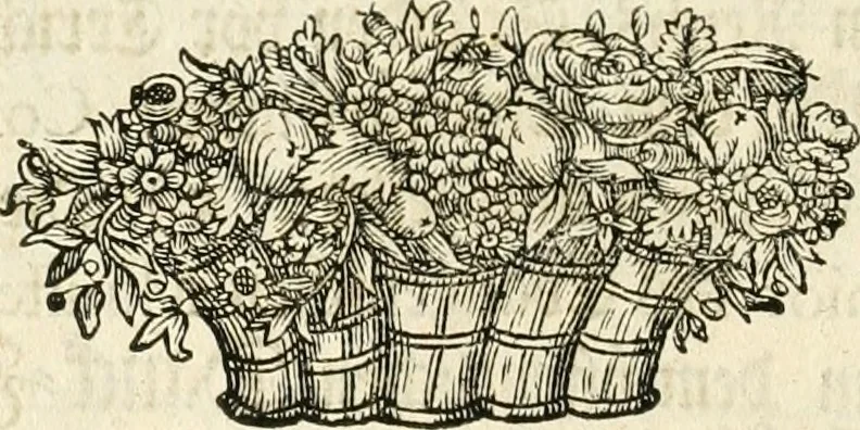 An illustration from Vollständiges Diarium von den merckwürdigsten Begebenheiten die sich vor, in und nach der höchst-beglückten Wahl und Crönung des allerdurchlauchtigsten, grossmächtigsten und unüberwindlichsten Fürsten und Herrn, Herrn Carls des VII., erwehlten Römischen Kaysers ... im gantzen Heil. Röm. Reich, und sonderlich in dieser freyen Reichs- und Wahl-Stadt Franckfurt am Mayn zugetragen : nebst umständlicher Beschreibung der Ein- und Aufzüge, Freuden-Feste, und übrigen feyerlichen Handlungen, sammt vielen Urkunden, Portraits, und andern Kupferstichen : auch einem Anhang von Beylagen, und ausführlichem Register .., 1742, leaf 111