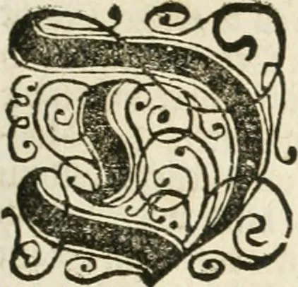 An illustration from Vollständiges Diarium von den merckwürdigsten Begebenheiten die sich vor, in und nach der höchst-beglückten Wahl und Crönung des allerdurchlauchtigsten, grossmächtigsten und unüberwindlichsten Fürsten und Herrn, Herrn Carls des VII., erwehlten Römischen Kaysers ... im gantzen Heil. Röm. Reich, und sonderlich in dieser freyen Reichs- und Wahl-Stadt Franckfurt am Mayn zugetragen : nebst umständlicher Beschreibung der Ein- und Aufzüge, Freuden-Feste, und übrigen feyerlichen Handlungen, sammt vielen Urkunden, Portraits, und andern Kupferstichen : auch einem Anhang von Beylagen, und ausführlichem Register .., 1742, leaf 112