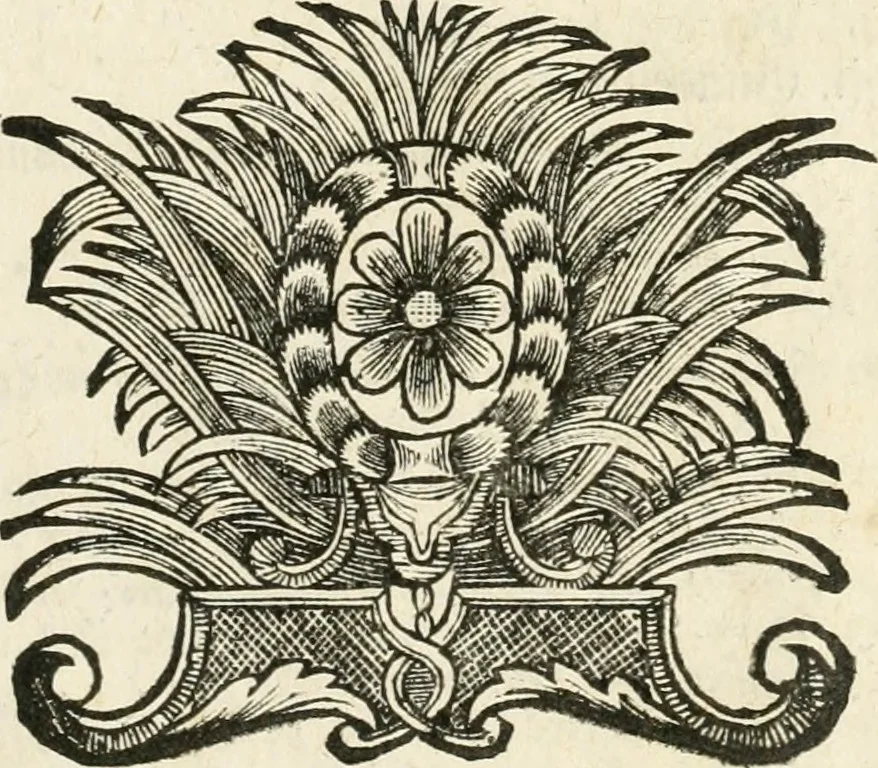 An illustration from Vollständiges Diarium von den merckwürdigsten Begebenheiten die sich vor, in und nach der höchst-beglückten Wahl und Crönung des allerdurchlauchtigsten, grossmächtigsten und unüberwindlichsten Fürsten und Herrn, Herrn Carls des VII., erwehlten Römischen Kaysers ... im gantzen Heil. Röm. Reich, und sonderlich in dieser freyen Reichs- und Wahl-Stadt Franckfurt am Mayn zugetragen : nebst umständlicher Beschreibung der Ein- und Aufzüge, Freuden-Feste, und übrigen feyerlichen Handlungen, sammt vielen Urkunden, Portraits, und andern Kupferstichen : auch einem Anhang von Beylagen, und ausführlichem Register .., 1742, leaf 1168