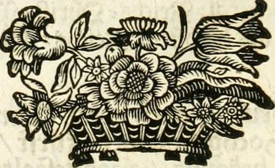 An illustration from Vollständiges Diarium von den merckwürdigsten Begebenheiten die sich vor, in und nach der höchst-beglückten Wahl und Crönung des allerdurchlauchtigsten, grossmächtigsten und unüberwindlichsten Fürsten und Herrn, Herrn Carls des VII., erwehlten Römischen Kaysers ... im gantzen Heil. Röm. Reich, und sonderlich in dieser freyen Reichs- und Wahl-Stadt Franckfurt am Mayn zugetragen : nebst umständlicher Beschreibung der Ein- und Aufzüge, Freuden-Feste, und übrigen feyerlichen Handlungen, sammt vielen Urkunden, Portraits, und andern Kupferstichen : auch einem Anhang von Beylagen, und ausführlichem Register .., 1742, leaf 437