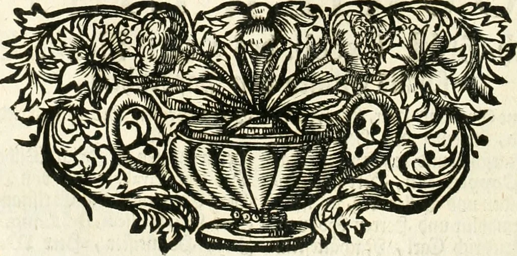 An illustration from Vollständiges Diarium von den merckwürdigsten Begebenheiten die sich vor, in und nach der höchst-beglückten Wahl und Crönung des allerdurchlauchtigsten, grossmächtigsten und unüberwindlichsten Fürsten und Herrn, Herrn Carls des VII., erwehlten Römischen Kaysers ... im gantzen Heil. Röm. Reich, und sonderlich in dieser freyen Reichs- und Wahl-Stadt Franckfurt am Mayn zugetragen : nebst umständlicher Beschreibung der Ein- und Aufzüge, Freuden-Feste, und übrigen feyerlichen Handlungen, sammt vielen Urkunden, Portraits, und andern Kupferstichen : auch einem Anhang von Beylagen, und ausführlichem Register .., 1742, leaf 557