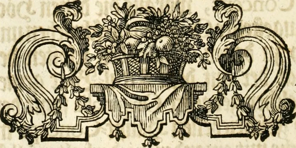 An illustration from Vollständiges Diarium von den merckwürdigsten Begebenheiten die sich vor, in und nach der höchst-beglückten Wahl und Crönung des allerdurchlauchtigsten, grossmächtigsten und unüberwindlichsten Fürsten und Herrn, Herrn Carls des VII., erwehlten Römischen Kaysers ... im gantzen Heil. Röm. Reich, und sonderlich in dieser freyen Reichs- und Wahl-Stadt Franckfurt am Mayn zugetragen : nebst umständlicher Beschreibung der Ein- und Aufzüge, Freuden-Feste, und übrigen feyerlichen Handlungen, sammt vielen Urkunden, Portraits, und andern Kupferstichen : auch einem Anhang von Beylagen, und ausführlichem Register .., 1742, leaf 561