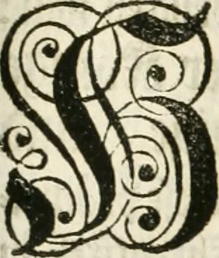 An illustration from Vollständiges Diarium von den merckwürdigsten Begebenheiten die sich vor, in und nach der höchst-beglückten Wahl und Crönung des allerdurchlauchtigsten, grossmächtigsten und unüberwindlichsten Fürsten und Herrn, Herrn Carls des VII., erwehlten Römischen Kaysers ... im gantzen Heil. Röm. Reich, und sonderlich in dieser freyen Reichs- und Wahl-Stadt Franckfurt am Mayn zugetragen : nebst umständlicher Beschreibung der Ein- und Aufzüge, Freuden-Feste, und übrigen feyerlichen Handlungen, sammt vielen Urkunden, Portraits, und andern Kupferstichen : auch einem Anhang von Beylagen, und ausführlichem Register .., 1742, leaf 668
