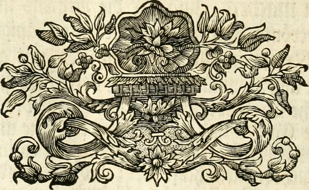 An illustration from Vollständiges Diarium von den merckwürdigsten Begebenheiten die sich vor, in und nach der höchst-beglückten Wahl und Crönung des allerdurchlauchtigsten, grossmächtigsten und unüberwindlichsten Fürsten und Herrn, Herrn Carls des VII., erwehlten Römischen Kaysers ... im gantzen Heil. Röm. Reich, und sonderlich in dieser freyen Reichs- und Wahl-Stadt Franckfurt am Mayn zugetragen : nebst umständlicher Beschreibung der Ein- und Aufzüge, Freuden-Feste, und übrigen feyerlichen Handlungen, sammt vielen Urkunden, Portraits, und andern Kupferstichen : auch einem Anhang von Beylagen, und ausführlichem Register .., 1742, leaf 713