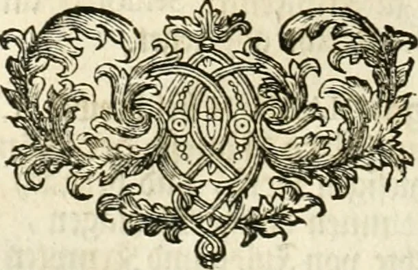 An illustration from Vollständiges Diarium von den merckwürdigsten Begebenheiten die sich vor, in und nach der höchst-beglückten Wahl und Crönung des allerdurchlauchtigsten, grossmächtigsten und unüberwindlichsten Fürsten und Herrn, Herrn Carls des VII., erwehlten Römischen Kaysers ... im gantzen Heil. Röm. Reich, und sonderlich in dieser freyen Reichs- und Wahl-Stadt Franckfurt am Mayn zugetragen : nebst umständlicher Beschreibung der Ein- und Aufzüge, Freuden-Feste, und übrigen feyerlichen Handlungen, sammt vielen Urkunden, Portraits, und andern Kupferstichen : auch einem Anhang von Beylagen, und ausführlichem Register .., 1742, leaf 715