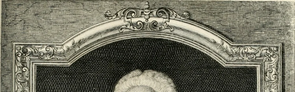 An illustration from Vollständiges Diarium von den merckwürdigsten Begebenheiten die sich vor, in und nach der höchst-beglückten Wahl und Crönung des allerdurchlauchtigsten, grossmächtigsten und unüberwindlichsten Fürsten und Herrn, Herrn Carls des VII., erwehlten Römischen Kaysers ... im gantzen Heil. Röm. Reich, und sonderlich in dieser freyen Reichs- und Wahl-Stadt Franckfurt am Mayn zugetragen : nebst umständlicher Beschreibung der Ein- und Aufzüge, Freuden-Feste, und übrigen feyerlichen Handlungen, sammt vielen Urkunden, Portraits, und andern Kupferstichen : auch einem Anhang von Beylagen, und ausführlichem Register .., 1742, leaf 744
