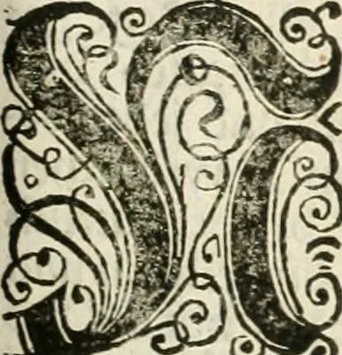 An illustration from Vollständiges Diarium von den merckwürdigsten Begebenheiten die sich vor, in und nach der höchst-beglückten Wahl und Crönung des allerdurchlauchtigsten, grossmächtigsten und unüberwindlichsten Fürsten und Herrn, Herrn Carls des VII., erwehlten Römischen Kaysers ... im gantzen Heil. Röm. Reich, und sonderlich in dieser freyen Reichs- und Wahl-Stadt Franckfurt am Mayn zugetragen : nebst umständlicher Beschreibung der Ein- und Aufzüge, Freuden-Feste, und übrigen feyerlichen Handlungen, sammt vielen Urkunden, Portraits, und andern Kupferstichen : auch einem Anhang von Beylagen, und ausführlichem Register .., 1742, leaf 748
