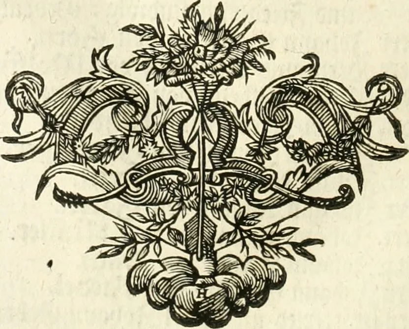An illustration from Vollständiges Diarium von den merckwürdigsten Begebenheiten die sich vor, in und nach der höchst-beglückten Wahl und Crönung des allerdurchlauchtigsten, grossmächtigsten und unüberwindlichsten Fürsten und Herrn, Herrn Carls des VII., erwehlten Römischen Kaysers ... im gantzen Heil. Röm. Reich, und sonderlich in dieser freyen Reichs- und Wahl-Stadt Franckfurt am Mayn zugetragen : nebst umständlicher Beschreibung der Ein- und Aufzüge, Freuden-Feste, und übrigen feyerlichen Handlungen, sammt vielen Urkunden, Portraits, und andern Kupferstichen : auch einem Anhang von Beylagen, und ausführlichem Register .., 1742, leaf 889