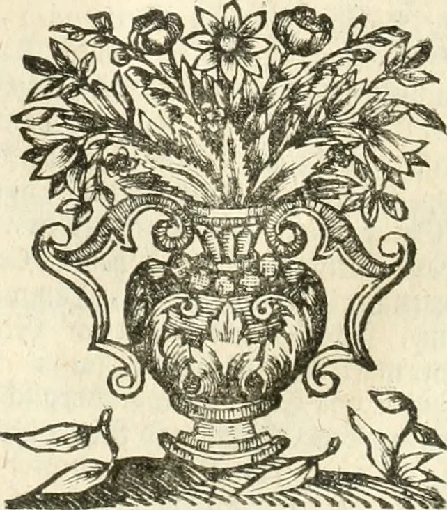 An illustration from Vollständiges Diarium von den merckwürdigsten Begebenheiten die sich vor, in und nach der höchst-beglückten Wahl und Crönung des allerdurchlauchtigsten, grossmächtigsten und unüberwindlichsten Fürsten und Herrn, Herrn Carls des VII., erwehlten Römischen Kaysers ... im gantzen Heil. Röm. Reich, und sonderlich in dieser freyen Reichs- und Wahl-Stadt Franckfurt am Mayn zugetragen : nebst umständlicher Beschreibung der Ein- und Aufzüge, Freuden-Feste, und übrigen feyerlichen Handlungen, sammt vielen Urkunden, Portraits, und andern Kupferstichen : auch einem Anhang von Beylagen, und ausführlichem Register .., 1742, leaf 941