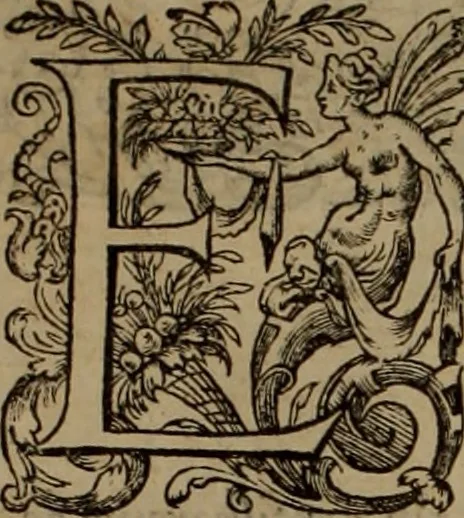 An illustration from Volume premier[-troisiesme] des Chroniques d'Enguerran de Monstrelet gentil-homme iadis demeurant a Cambray en Cambresis. : Contenans les cruelles guerres ciuilles entre les maisons d'Orleans & de Bourgongne, l'occupation de Paris & Normandie par les Anglois, l'expulsion d'iceux, & autres choses memorables aduenues de son temps en ce royaume, & paÿs estranges. Histoire de bel exemple & de grand fruict aux Francois, commenceant en l'an M. CCCC. où finist celle de Iean Froissart, & finissant en l'an M.CCCC.LXVII. peu outre le commencement de celle de Mess. Philippes de Commines., 1572, leaf 13