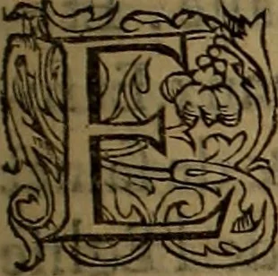An illustration from Volume premier[-troisiesme] des Chroniques d'Enguerran de Monstrelet gentil-homme iadis demeurant a Cambray en Cambresis. : Contenans les cruelles guerres ciuilles entre les maisons d'Orleans & de Bourgongne, l'occupation de Paris & Normandie par les Anglois, l'expulsion d'iceux, & autres choses memorables aduenues de son temps en ce royaume, & paÿs estranges. Histoire de bel exemple & de grand fruict aux Francois, commenceant en l'an M. CCCC. où finist celle de Iean Froissart, & finissant en l'an M.CCCC.LXVII. peu outre le commencement de celle de Mess. Philippes de Commines., 1572, leaf 206
