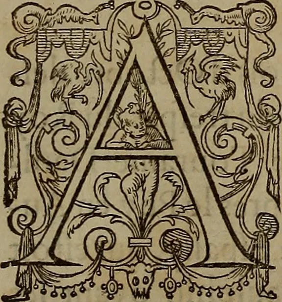 An illustration from Volume premier[-troisiesme] des Chroniques d'Enguerran de Monstrelet gentil-homme iadis demeurant a Cambray en Cambresis. : Contenans les cruelles guerres ciuilles entre les maisons d'Orleans & de Bourgongne, l'occupation de Paris & Normandie par les Anglois, l'expulsion d'iceux, & autres choses memorables aduenues de son temps en ce royaume, & paÿs estranges. Histoire de bel exemple & de grand fruict aux Francois, commenceant en l'an M. CCCC. où finist celle de Iean Froissart, & finissant en l'an M.CCCC.LXVII. peu outre le commencement de celle de Mess. Philippes de Commines., 1572, leaf 23