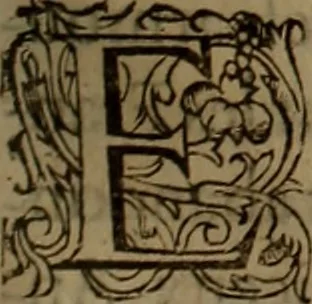 An illustration from Volume premier[-troisiesme] des Chroniques d'Enguerran de Monstrelet gentil-homme iadis demeurant a Cambray en Cambresis. : Contenans les cruelles guerres ciuilles entre les maisons d'Orleans & de Bourgongne, l'occupation de Paris & Normandie par les Anglois, l'expulsion d'iceux, & autres choses memorables aduenues de son temps en ce royaume, & paÿs estranges. Histoire de bel exemple & de grand fruict aux Francois, commenceant en l'an M. CCCC. où finist celle de Iean Froissart, & finissant en l'an M.CCCC.LXVII. peu outre le commencement de celle de Mess. Philippes de Commines., 1572, leaf 344