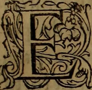 An illustration from Volume premier[-troisiesme] des Chroniques d'Enguerran de Monstrelet gentil-homme iadis demeurant a Cambray en Cambresis. : Contenans les cruelles guerres ciuilles entre les maisons d'Orleans & de Bourgongne, l'occupation de Paris & Normandie par les Anglois, l'expulsion d'iceux, & autres choses memorables aduenues de son temps en ce royaume, & paÿs estranges. Histoire de bel exemple & de grand fruict aux Francois, commenceant en l'an M. CCCC. où finist celle de Iean Froissart, & finissant en l'an M.CCCC.LXVII. peu outre le commencement de celle de Mess. Philippes de Commines., 1572, leaf 358