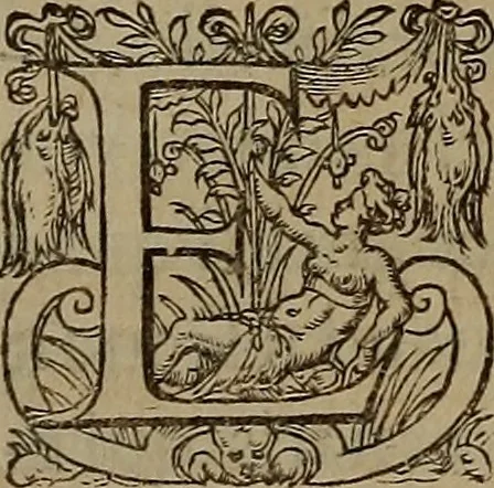 An illustration from Volume premier[-troisiesme] des Chroniques d'Enguerran de Monstrelet gentil-homme iadis demeurant a Cambray en Cambresis. : Contenans les cruelles guerres ciuilles entre les maisons d'Orleans & de Bourgongne, l'occupation de Paris & Normandie par les Anglois, l'expulsion d'iceux, & autres choses memorables aduenues de son temps en ce royaume, & paÿs estranges. Histoire de bel exemple & de grand fruict aux Francois, commenceant en l'an M. CCCC. où finist celle de Iean Froissart, & finissant en l'an M.CCCC.LXVII. peu outre le commencement de celle de Mess. Philippes de Commines., 1572, leaf 457