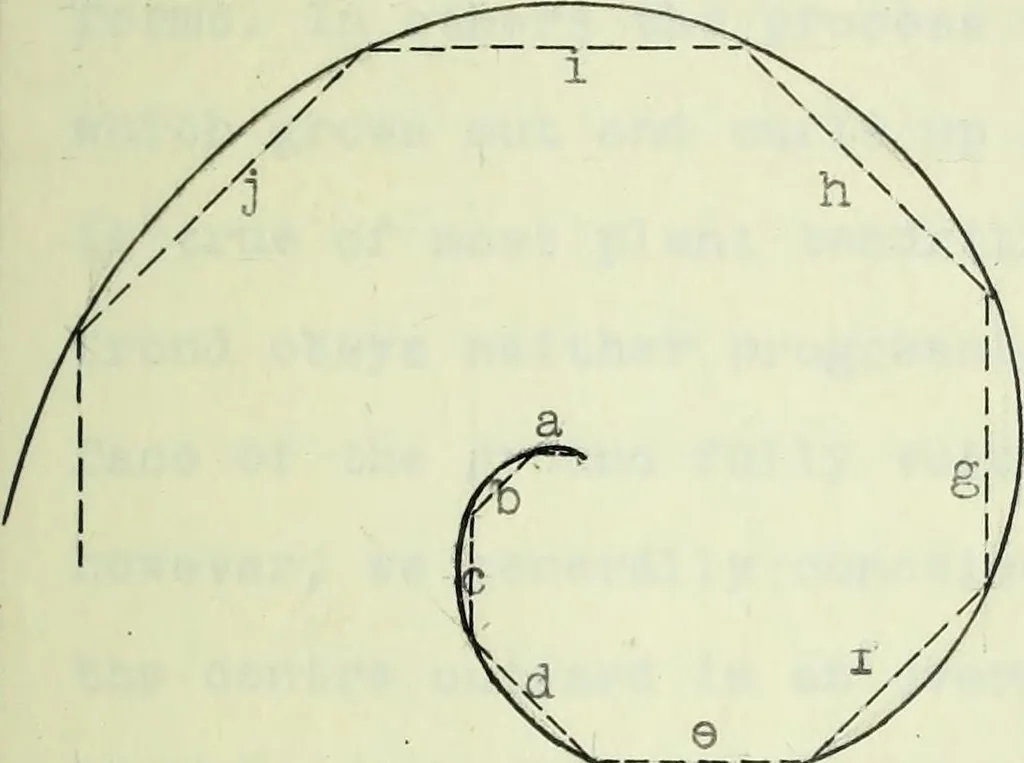 An illustration from The volute in architecture and architectural decoration with particular reference to its introduction into the Ionic order, 1918, leaf 30