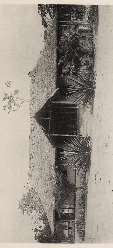 An illustration from Vom Kongo zum Ubangi; meine zweite Reise in Mittelafrika, 1910, leaf 177