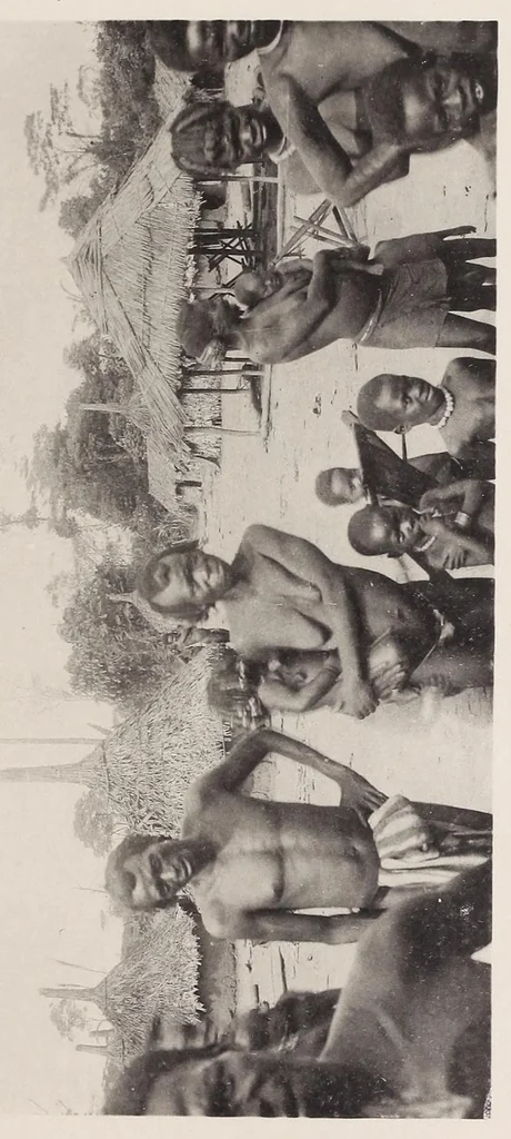 An illustration from Vom Kongo zum Ubangi; meine zweite Reise in Mittelafrika, 1910, leaf 207