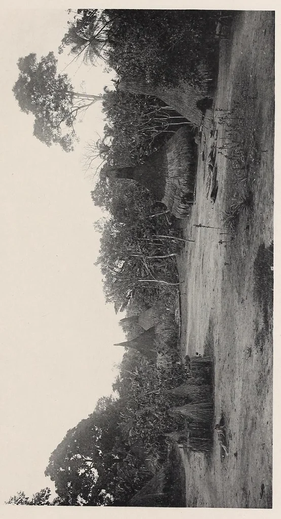 An illustration from Vom Kongo zum Ubangi; meine zweite Reise in Mittelafrika, 1910, leaf 251