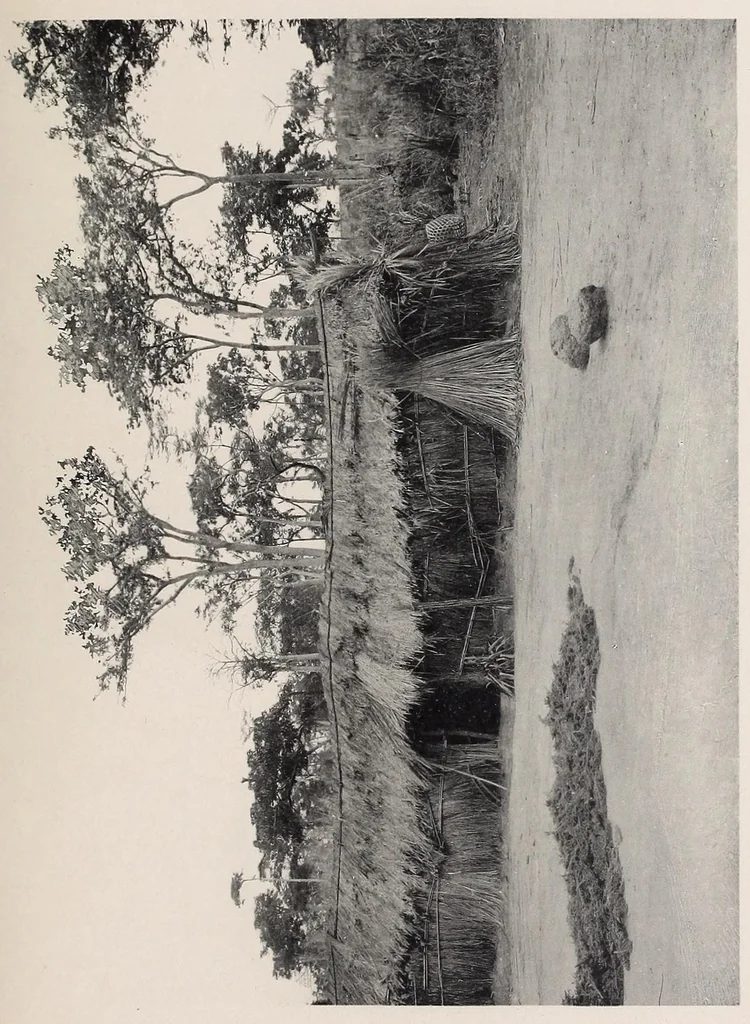 An illustration from Vom Kongo zum Ubangi; meine zweite Reise in Mittelafrika, 1910, leaf 295