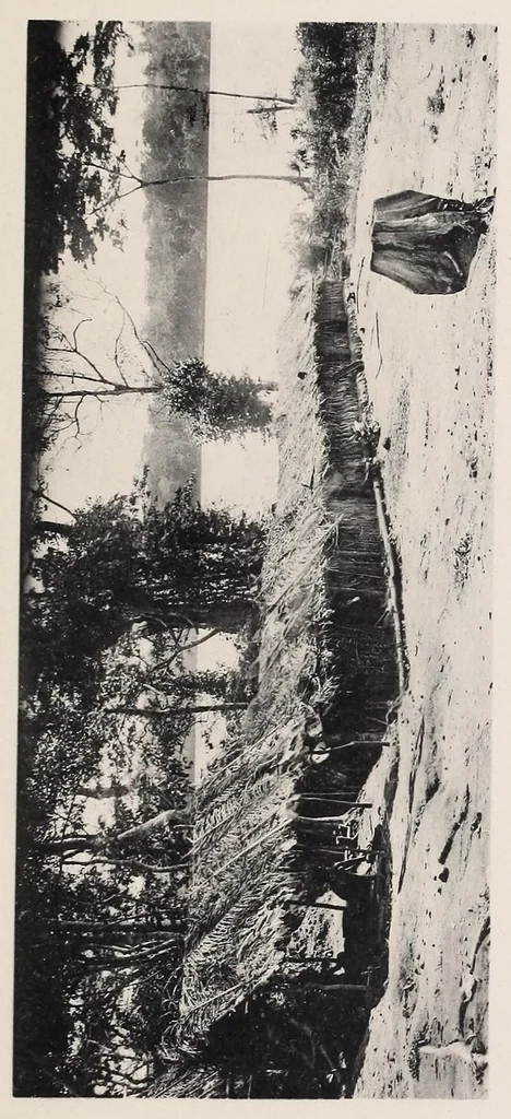 An illustration from Vom Kongo zum Ubangi; meine zweite Reise in Mittelafrika, 1910, leaf 311