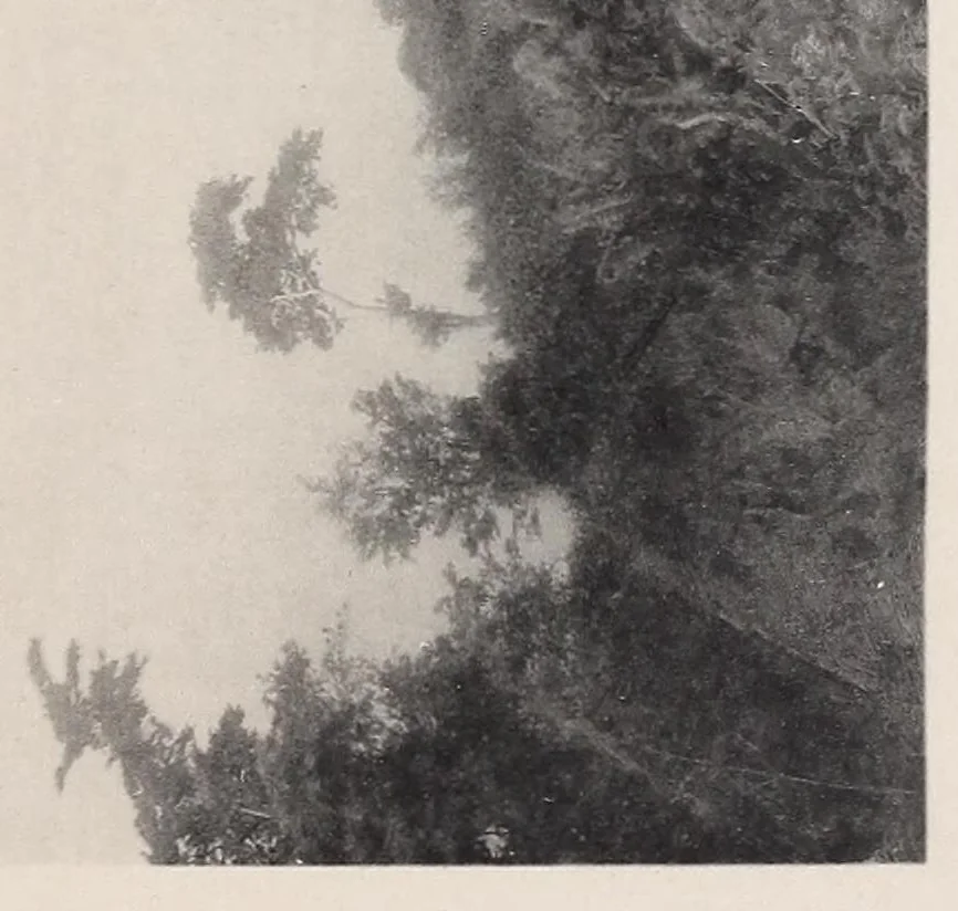 An illustration from Vom Kongo zum Ubangi; meine zweite Reise in Mittelafrika, 1910, leaf 327