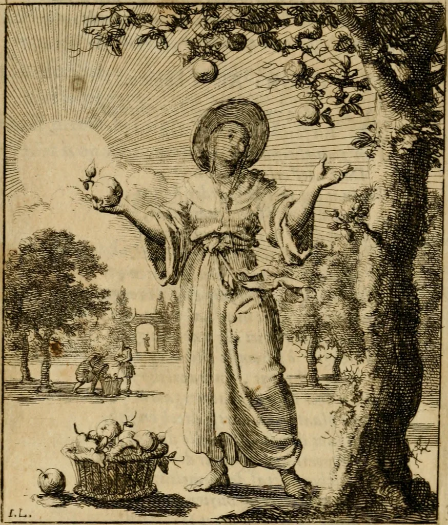 An illustration from Voncken der liefde Jesu, van het Godtbegerende zielenvier : bloemitjes der salige hoope, tot verheugelykheid der wandelaars langs den weg, na vreden ryk : een behelsinge van vyftig sinne-beelden, met hunne daar op spelende verssen, en heylige spreuken, 1687, leaf 29