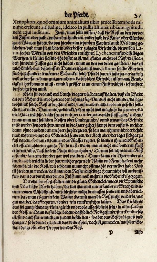 An illustration from Von der Gestüterey, das ist, ein grundtliche Beschreibung wie vnd wa man ein Gestüt von guten edlen Kriegsrossen auffrichten, vnderhalten, vnd wie man die jungen von einem Jar zu dem andern erziehen soll, biss sie einem Bereiter zum abrichten zuvndergeben, vnd so sie abgericht in langwiriger Gesundheit zu erhalten ..., 1611, leaf 133