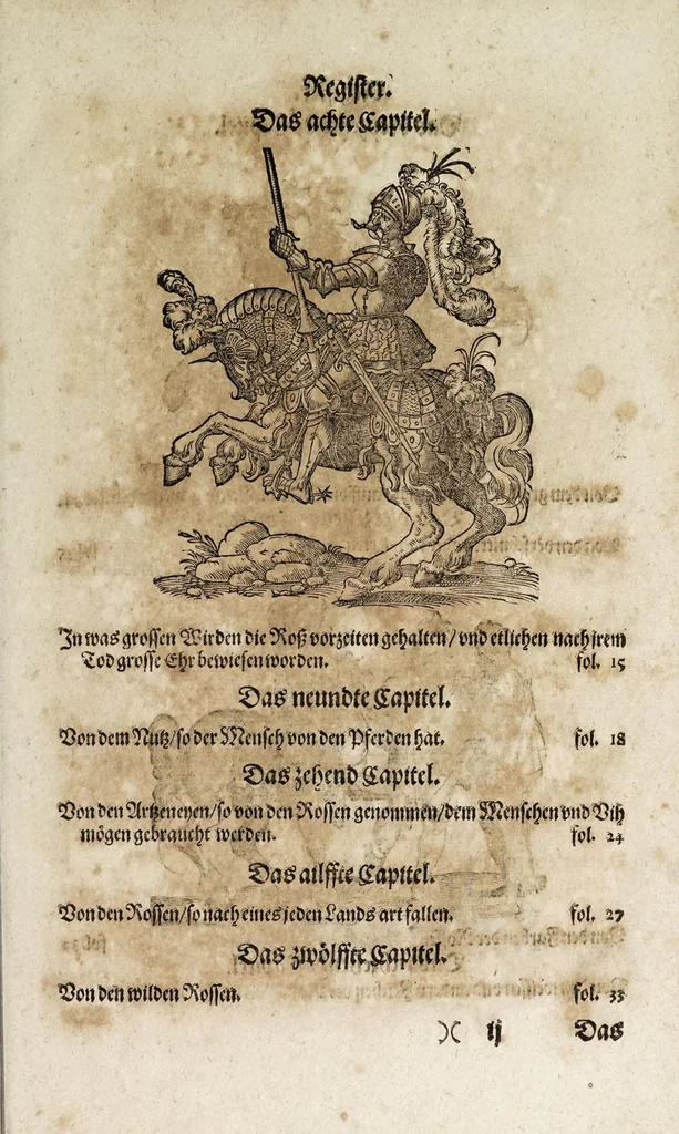 An illustration from Von der Gestüterey, das ist, ein grundtliche Beschreibung wie vnd wa man ein Gestüt von guten edlen Kriegsrossen auffrichten, vnderhalten, vnd wie man die jungen von einem Jar zu dem andern erziehen soll, biss sie einem Bereiter zum abrichten zuvndergeben, vnd so sie abgericht in langwiriger Gesundheit zu erhalten ..., 1611, leaf 15