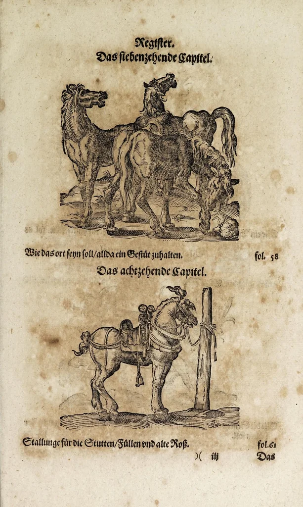 An illustration from Von der Gestüterey, das ist, ein grundtliche Beschreibung wie vnd wa man ein Gestüt von guten edlen Kriegsrossen auffrichten, vnderhalten, vnd wie man die jungen von einem Jar zu dem andern erziehen soll, biss sie einem Bereiter zum abrichten zuvndergeben, vnd so sie abgericht in langwiriger Gesundheit zu erhalten ..., 1611, leaf 17