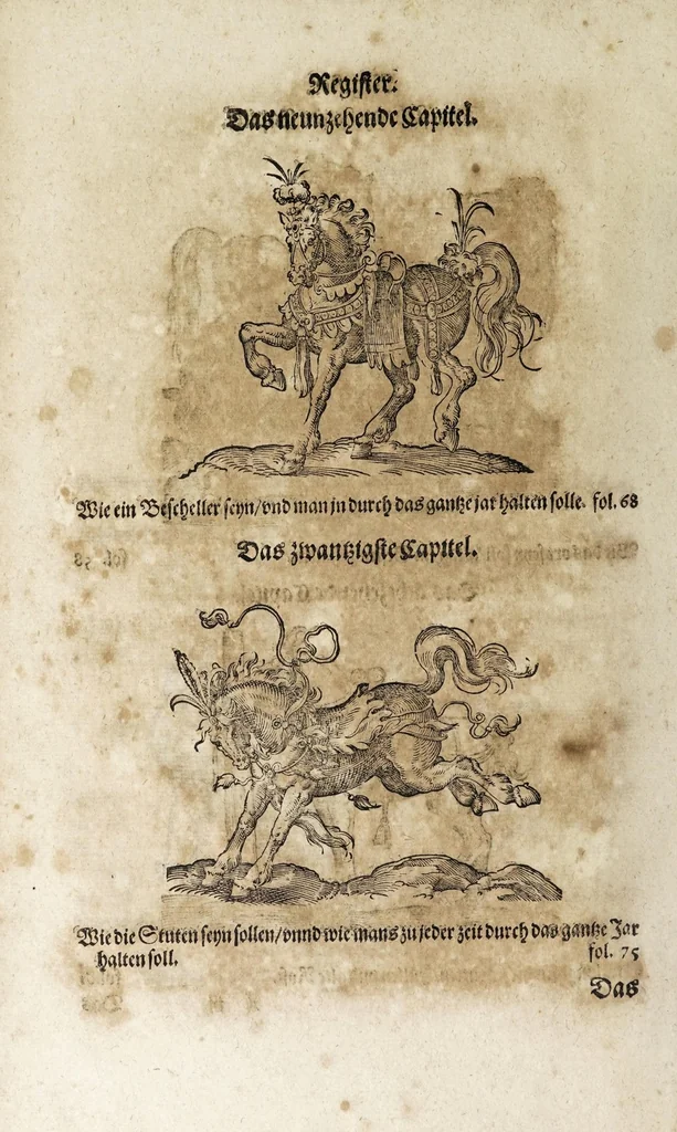 An illustration from Von der Gestüterey, das ist, ein grundtliche Beschreibung wie vnd wa man ein Gestüt von guten edlen Kriegsrossen auffrichten, vnderhalten, vnd wie man die jungen von einem Jar zu dem andern erziehen soll, biss sie einem Bereiter zum abrichten zuvndergeben, vnd so sie abgericht in langwiriger Gesundheit zu erhalten ..., 1611, leaf 18