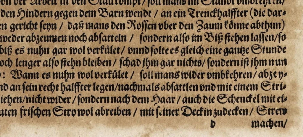 An illustration from Von der Gestüterey, das ist, ein grundtliche Beschreibung wie vnd wa man ein Gestüt von guten edlen Kriegsrossen auffrichten, vnderhalten, vnd wie man die jungen von einem Jar zu dem andern erziehen soll, biss sie einem Bereiter zum abrichten zuvndergeben, vnd so sie abgericht in langwiriger Gesundheit zu erhalten ..., 1611, leaf 229