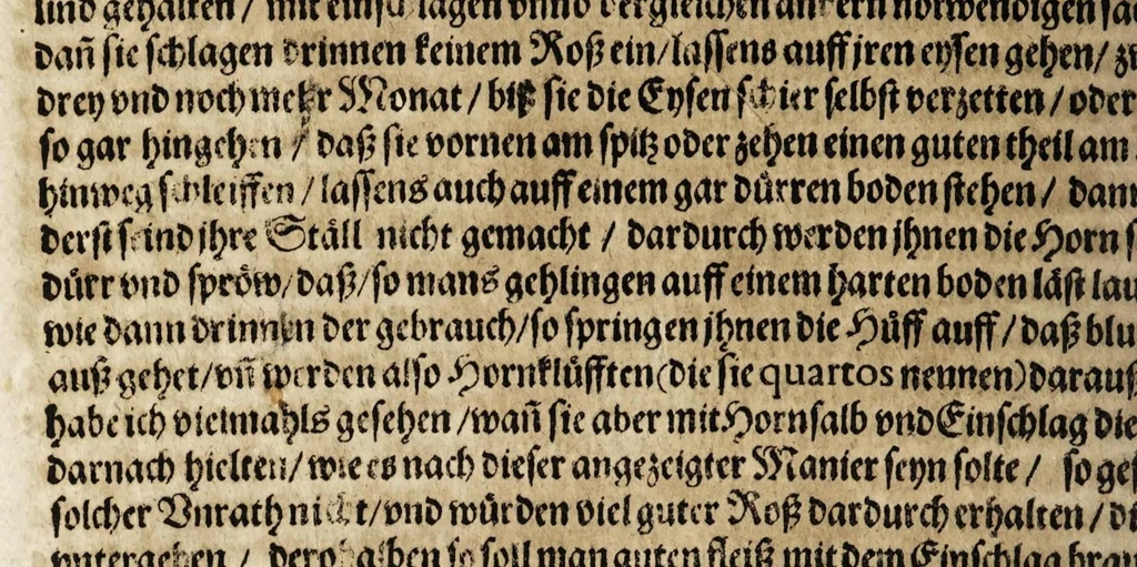 An illustration from Von der Gestüterey, das ist, ein grundtliche Beschreibung wie vnd wa man ein Gestüt von guten edlen Kriegsrossen auffrichten, vnderhalten, vnd wie man die jungen von einem Jar zu dem andern erziehen soll, biss sie einem Bereiter zum abrichten zuvndergeben, vnd so sie abgericht in langwiriger Gesundheit zu erhalten ..., 1611, leaf 250