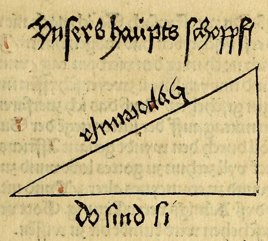 An illustration from Von der neu gefunden Region die wol ein Welt genent mag werden, durch den cristenlichen Künig von Portigal, wunderbarlich erfunden, 1506, leaf 19