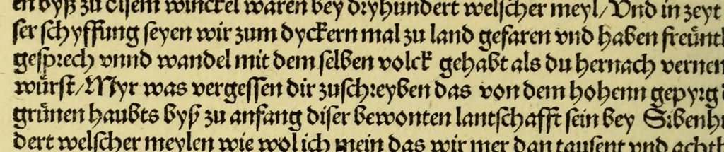 An illustration from Von der new gefunnde[n] Region die wol ein Welt genennt mag werden, durch den cristenlichen Künig von Portugall, wunnderbarlich erfunden, 1506, leaf 12