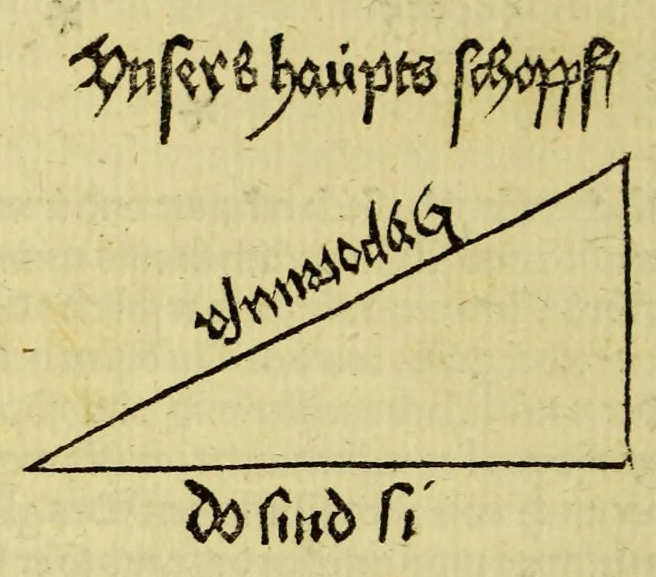 An illustration from Von der new gefunnde[n] Region die wol ein Welt genennt mag werden, durch den cristenlichen Künig von Portugall, wunnderbarlich erfunden, 1506, leaf 18