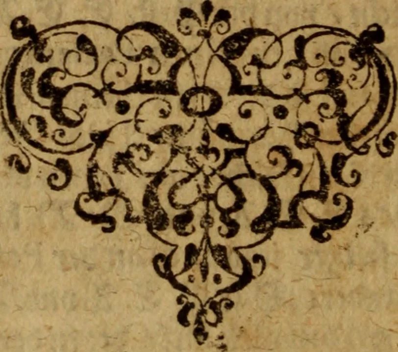 An illustration from Von der Pestilentz : kurtzer und einfeltiger Bericht, wie man sich mit Gottes Hülffe durch Mittel von im gnedig geschaffen, dafur bewaren, und die auch heilen möge. Darneben auch ein Harmspiegel .., 1597, leaf 63