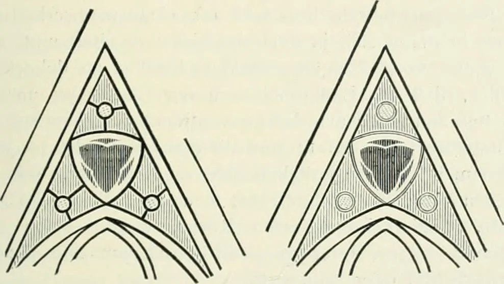 An illustration from Von deutscher Kunst : gesammelte Aufsätze und nachgelassene Schriften, 1910, leaf 210