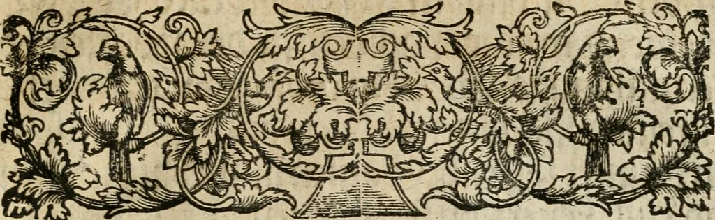 An illustration from Von Himmeln entzündete und, durch allgemeinen Zuruff der Erde, sich himmelwerts erschwingende Frolockungs-Flammen zu höchstfeyerlichster Begängnüss dess hochzeitlichen Beylagers, bey der allerdurchleuchtigsten Majestäten Leopoldi I. Römischen Kaysers ... und Margaritae geborner Infantin von Hispanien ... : vollzogen am Fest der Empfängnüss Mariae den 8. Decemb. st. n. 1666 dess Abends, nächst vor der Kayserl. Burg, ausserhalb der Statt Wien, an dem Graben, und der neben selbigem Thor, daran gelegnen Pastey : auffs deutlichste beschrieben, und mit unterschiedlichen zum Werck dienenden Kupfferstücken gezieret und gedruckt, 1667, leaf 18