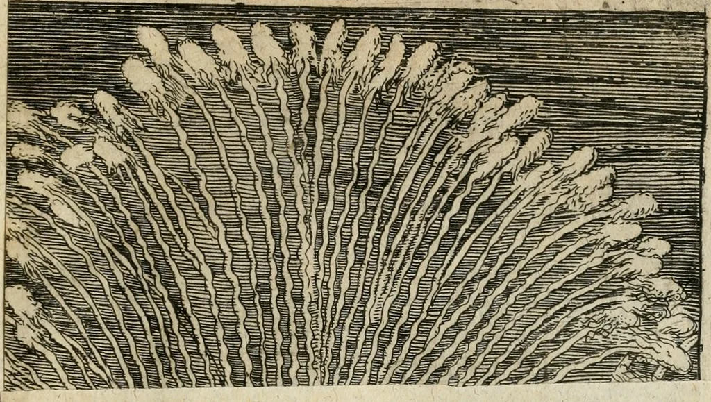 An illustration from Von Himmeln entzündete und, durch allgemeinen Zuruff der Erde, sich himmelwerts erschwingende Frolockungs-Flammen zu höchstfeyerlichster Begängnüss dess hochzeitlichen Beylagers, bey der allerdurchleuchtigsten Majestäten Leopoldi I. Römischen Kaysers ... und Margaritae geborner Infantin von Hispanien ... : vollzogen am Fest der Empfängnüss Mariae den 8. Decemb. st. n. 1666 dess Abends, nächst vor der Kayserl. Burg, ausserhalb der Statt Wien, an dem Graben, und der neben selbigem Thor, daran gelegnen Pastey : auffs deutlichste beschrieben, und mit unterschiedlichen zum Werck dienenden Kupfferstücken gezieret und gedruckt, 1667, leaf 20