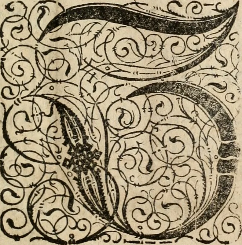 An illustration from Von Himmeln entzündete und, durch allgemeinen Zuruff der Erde, sich himmelwerts erschwingende Frolockungs-Flammen zu höchstfeyerlichster Begängnüss dess hochzeitlichen Beylagers, bey der allerdurchleuchtigsten Majestäten Leopoldi I. Römischen Kaysers ... und Margaritae geborner Infantin von Hispanien ... : vollzogen am Fest der Empfängnüss Mariae den 8. Decemb. st. n. 1666 dess Abends, nächst vor der Kayserl. Burg, ausserhalb der Statt Wien, an dem Graben, und der neben selbigem Thor, daran gelegnen Pastey : auffs deutlichste beschrieben, und mit unterschiedlichen zum Werck dienenden Kupfferstücken gezieret und gedruckt, 1667, leaf 22