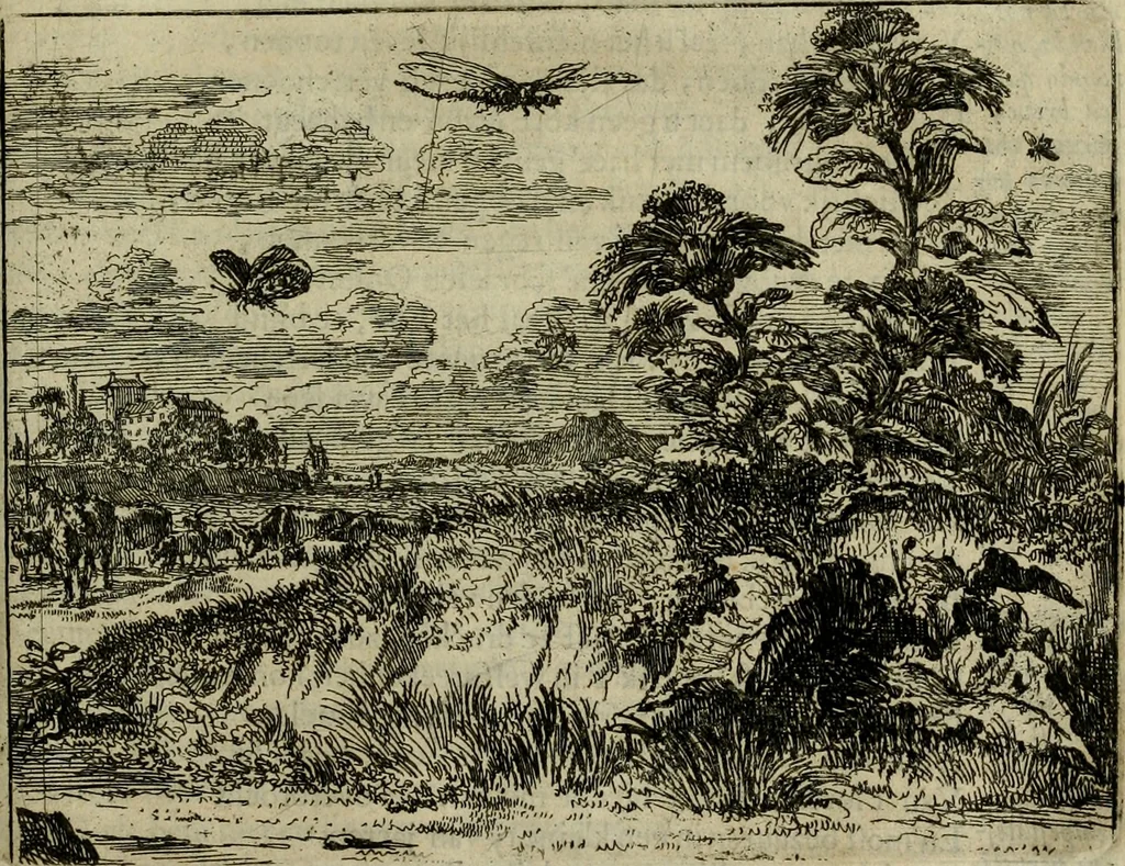 An illustration from Het voorhof der ziele : behangen met leerzaeme prenten en zinnebeelden, 1698, leaf 202