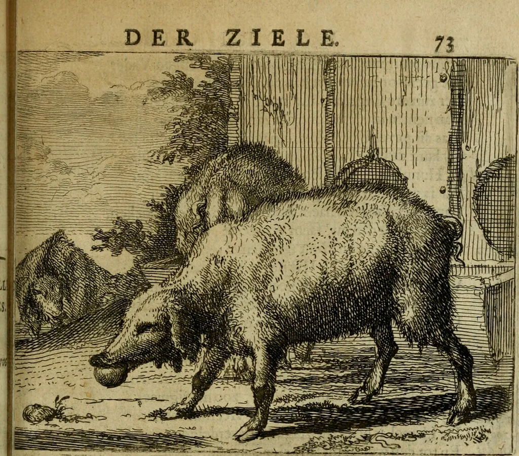An illustration from Het voorhof der ziele : behangen met leerzaeme prenten en zinnebeelden, 1698, leaf 94