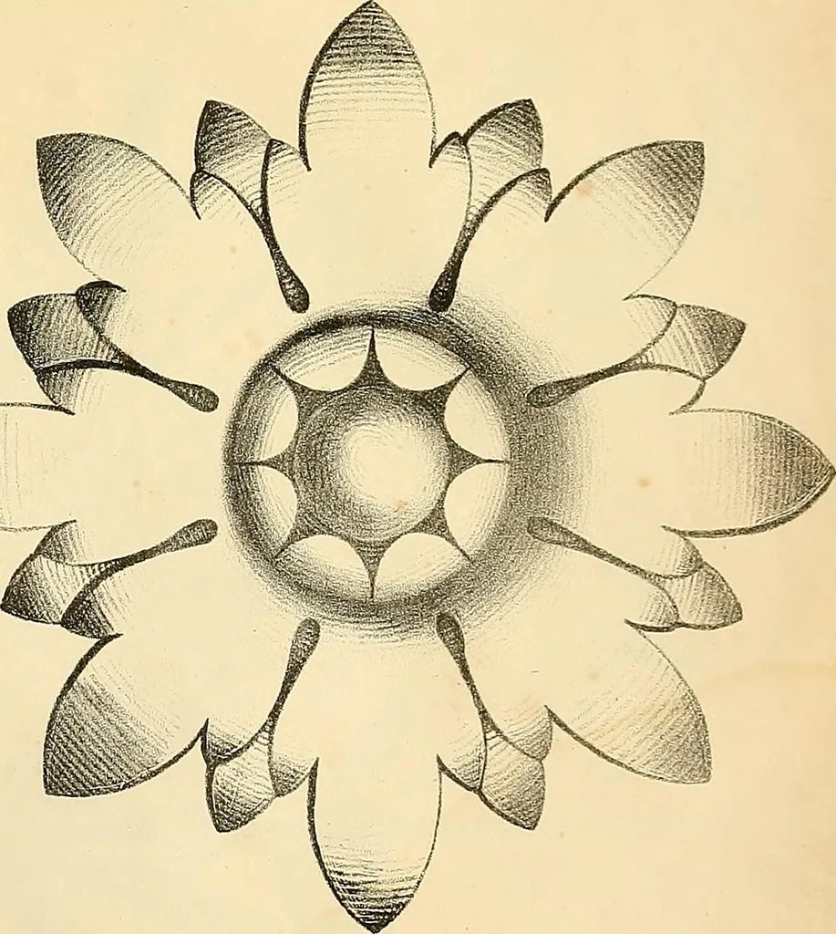 An illustration from Vorlegeblätter zum Zeichnenunterricht in Verzierungen für Volks- und Gewerbschulen, 1844, leaf 10