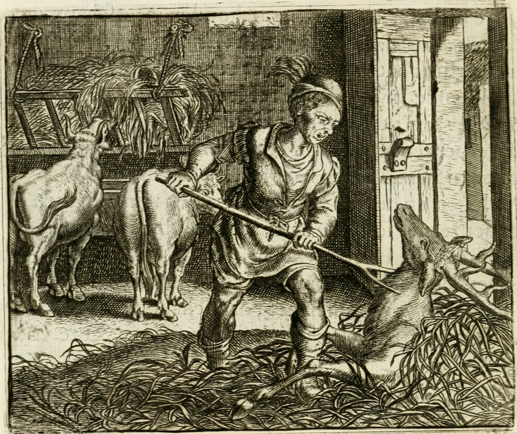 An illustration from Vorstelijcke warande der dieren : waer in de zeden-rijcke philosophie, poëtisch, morael, en historiael, vermakelijck en treffelijck wort voorgestelt : mit exempelen uyt de oude historien, in prose : ende uytleggingen, in rijm verklaert, 1682, leaf 111