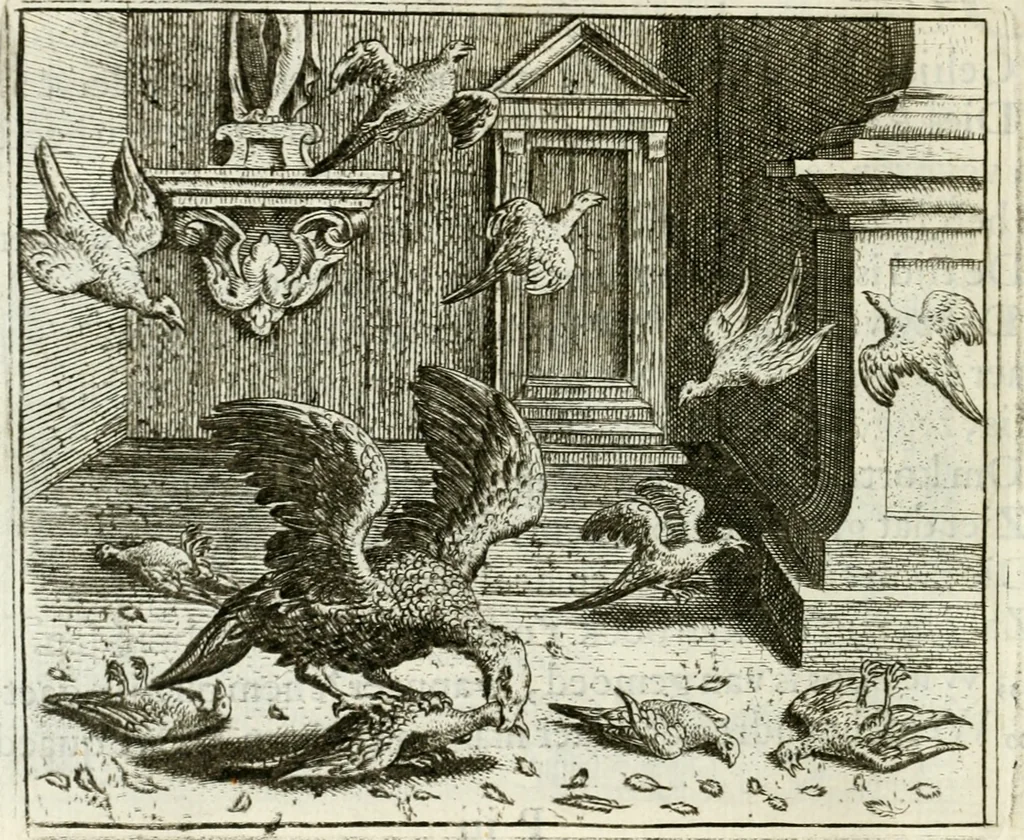 An illustration from Vorstelijcke warande der dieren : waer in de zeden-rijcke philosophie, poëtisch, morael, en historiael, vermakelijck en treffelijck wort voorgestelt : mit exempelen uyt de oude historien, in prose : ende uytleggingen, in rijm verklaert, 1682, leaf 123