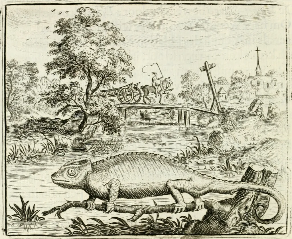 An illustration from Vorstelijcke warande der dieren : waer in de zeden-rijcke philosophie, poëtisch, morael, en historiael, vermakelijck en treffelijck wort voorgestelt : mit exempelen uyt de oude historien, in prose : ende uytleggingen, in rijm verklaert, 1682, leaf 137