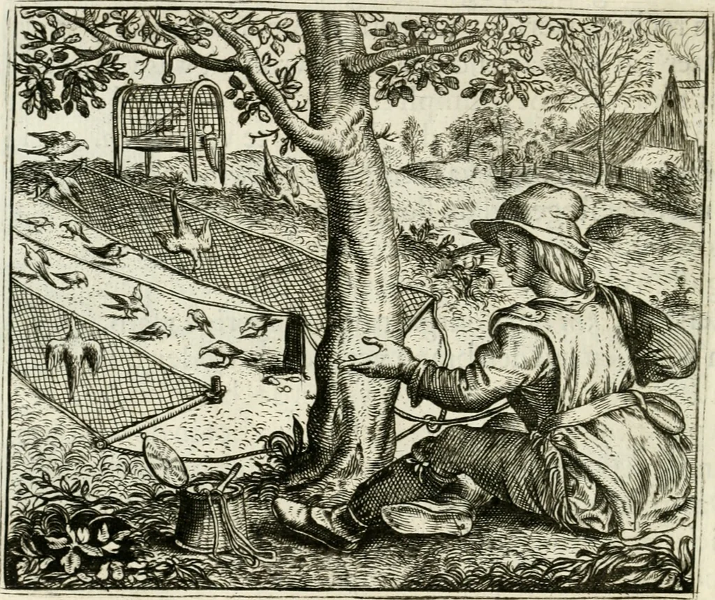 An illustration from Vorstelijcke warande der dieren : waer in de zeden-rijcke philosophie, poëtisch, morael, en historiael, vermakelijck en treffelijck wort voorgestelt : mit exempelen uyt de oude historien, in prose : ende uytleggingen, in rijm verklaert, 1682, leaf 145